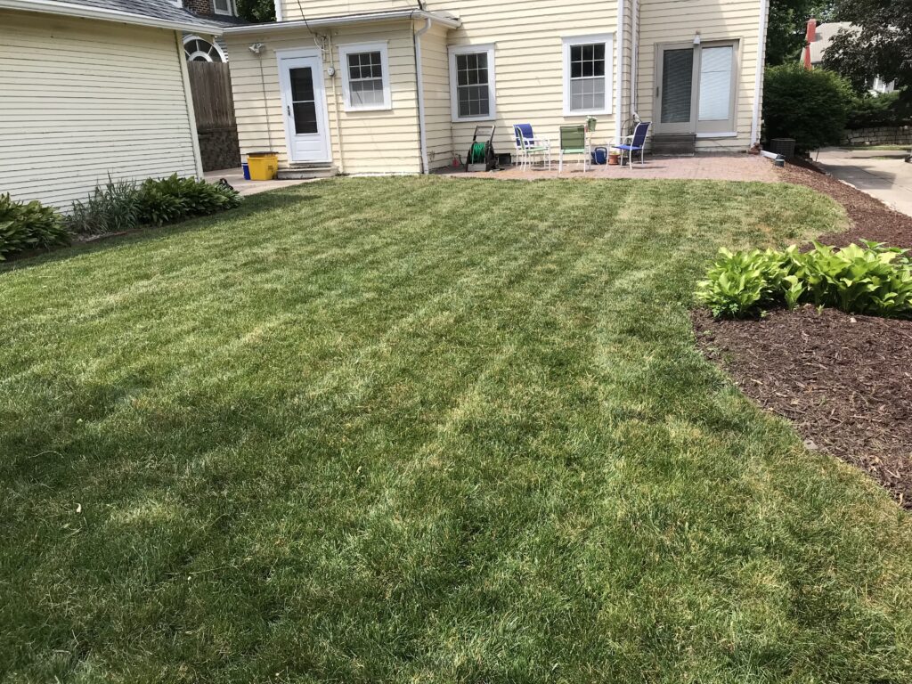 Mow My Lawn - Finished Yard