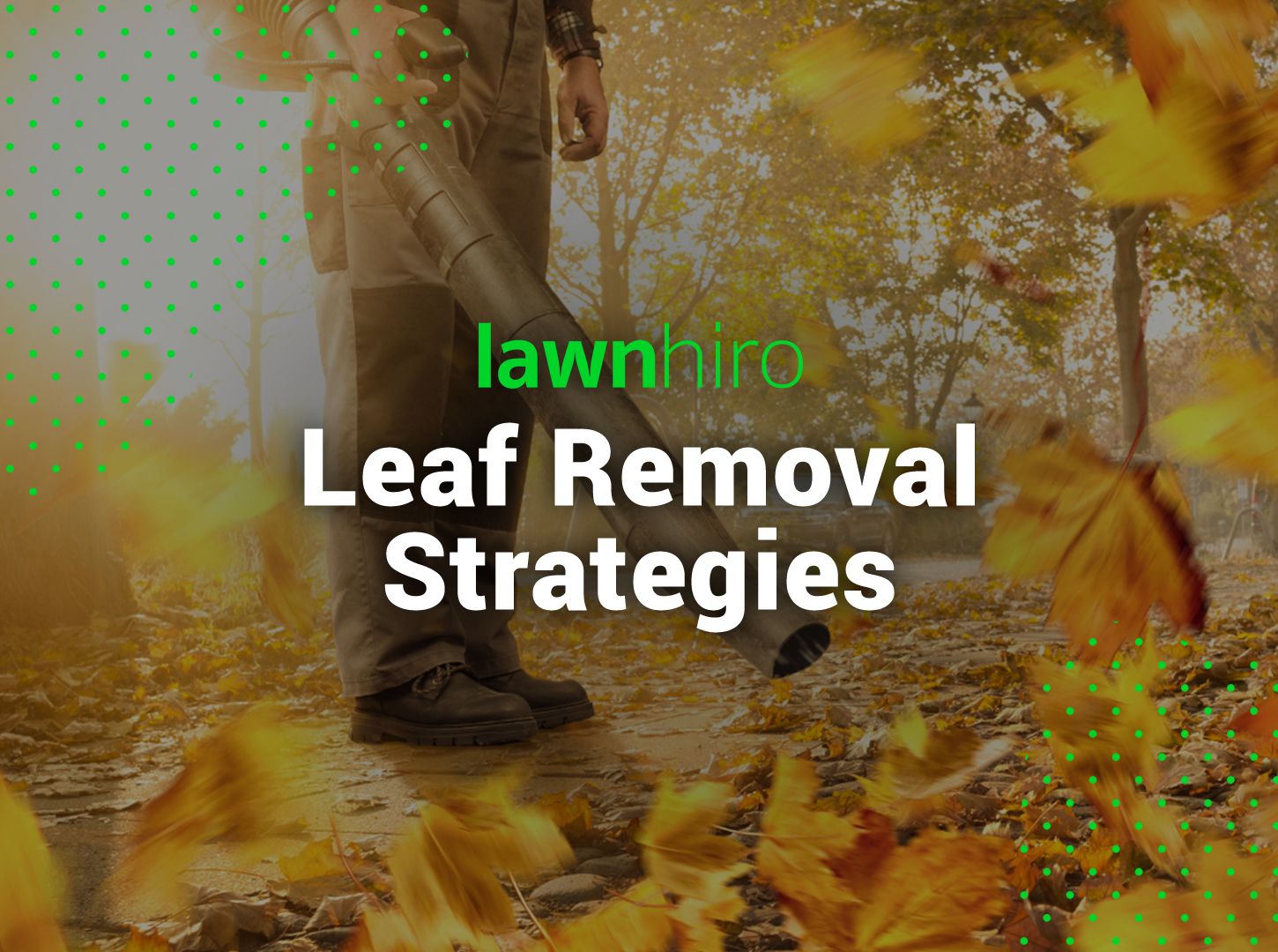 Leaf Removal Strategies - Lawnhiro