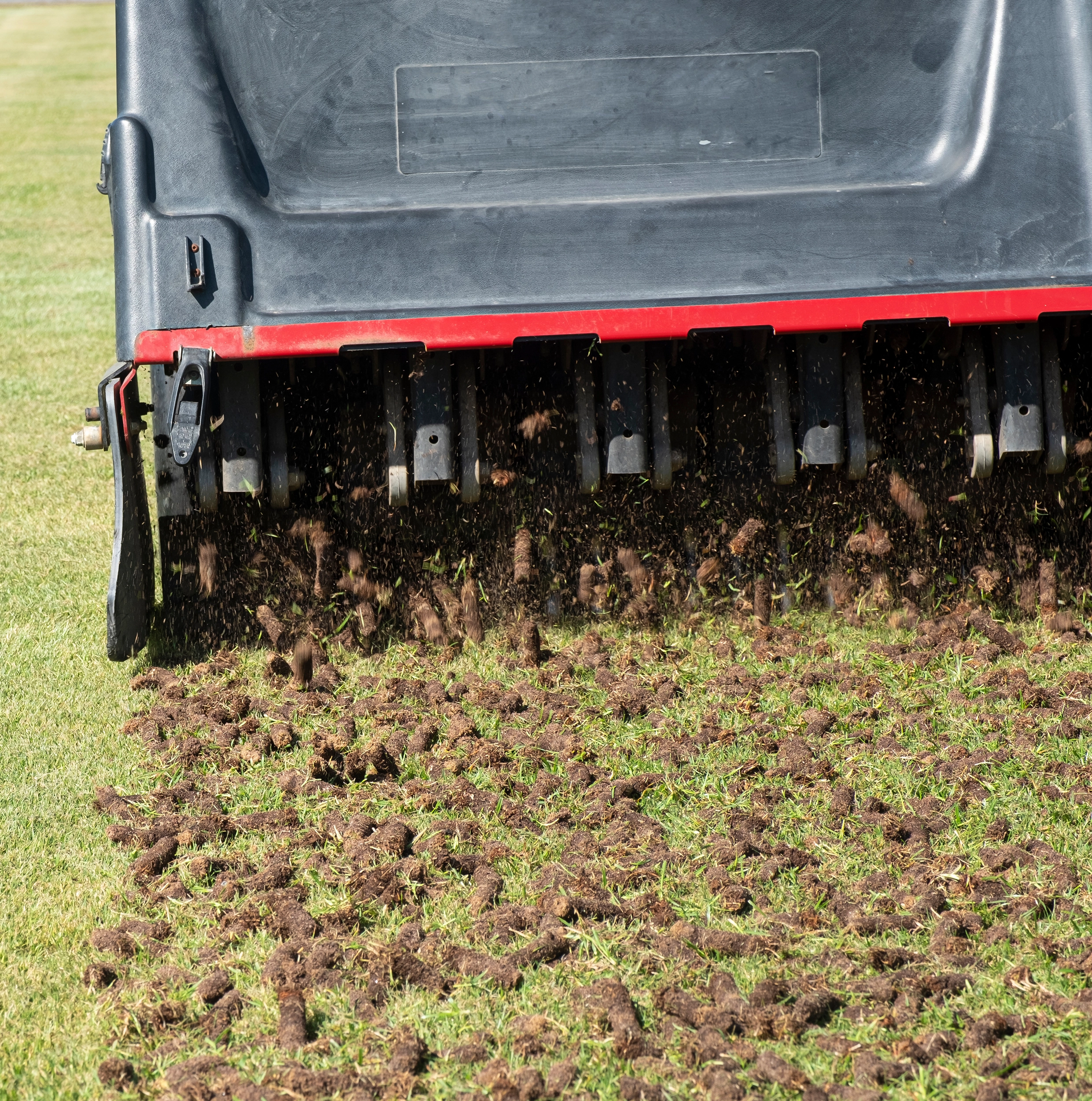 Aeration - One-Time Lawn Service