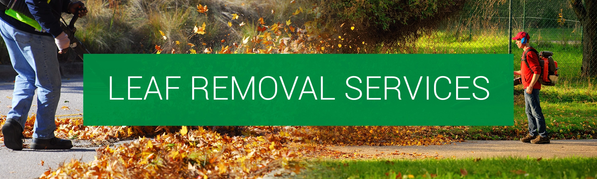 Lawn Care Services in Nebraska - Leaf Removal