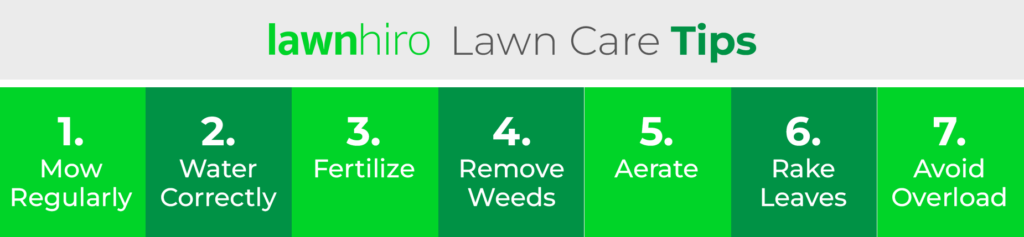 Lawn Care Tips