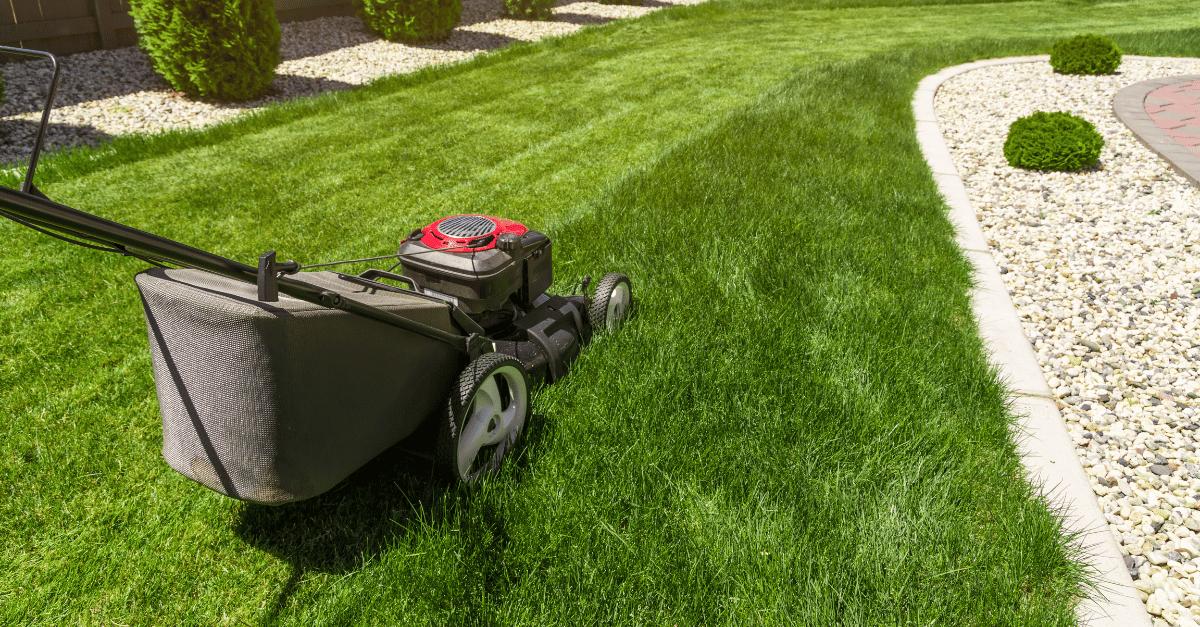 Tips for Lawn Care - Lawnhiro