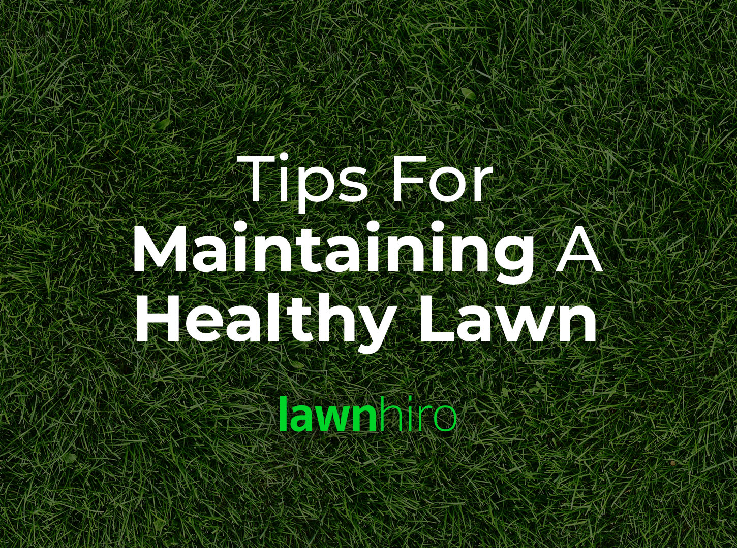 Tips for Lawn Care