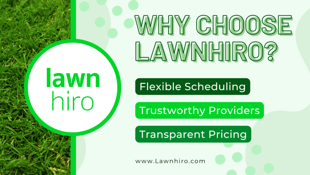 Revolutionizing Lawn Care - Lawnhiro