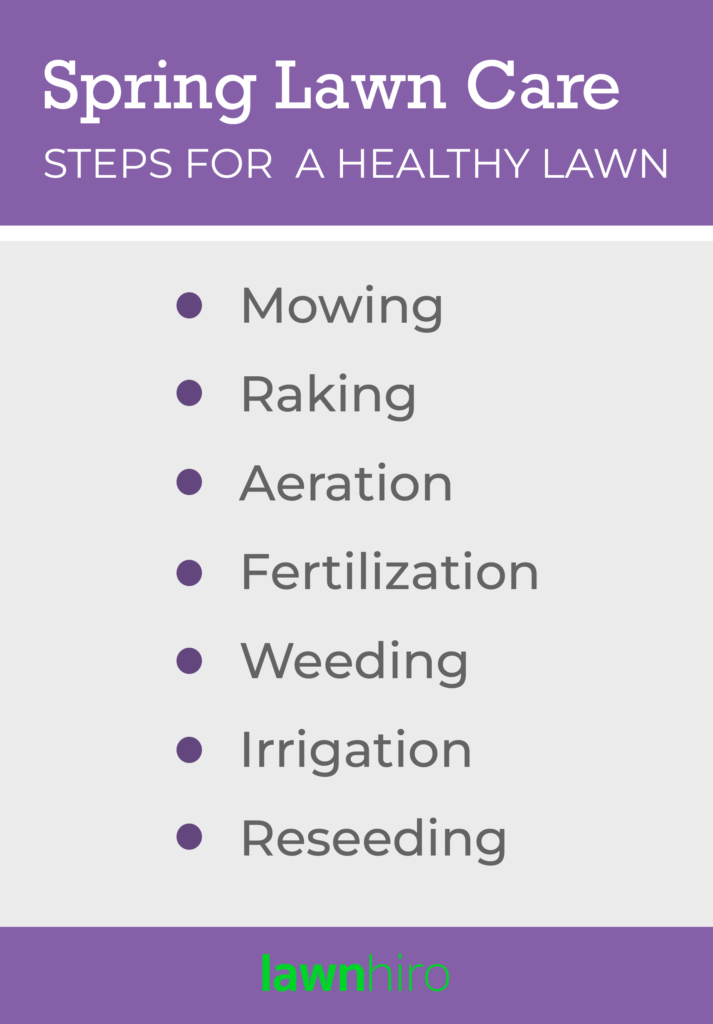 Spring Lawn Care: Steps for a Healthy Lawn