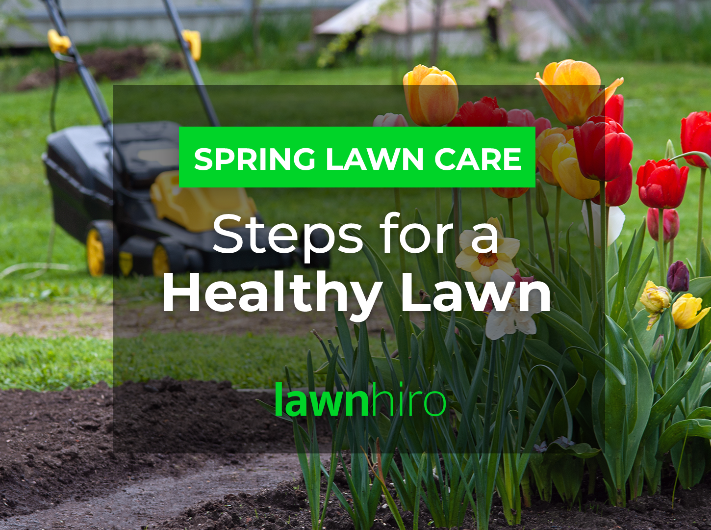 Featured image for “Spring Lawn Care: Steps for a Healthy Lawn”