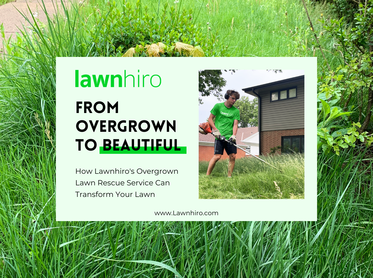 Featured image for “How Lawnhiro’s Overgrown Lawn Rescue Service Can Transform Your Lawn”
