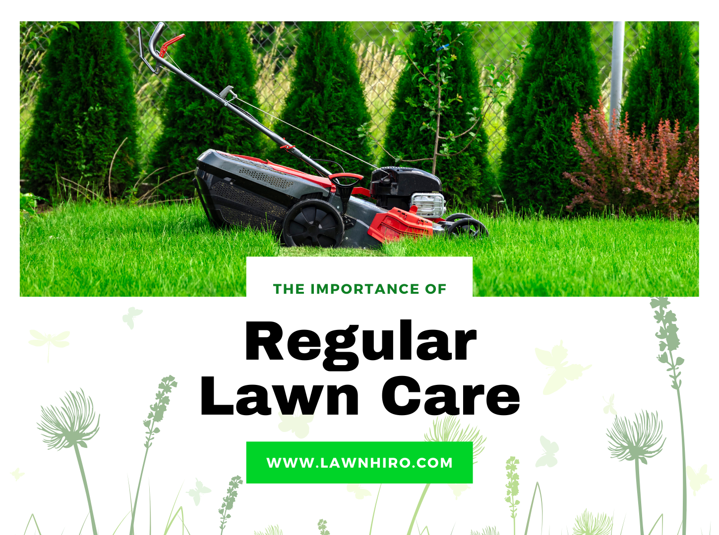 Regular Lawn Care with Lawnhiro