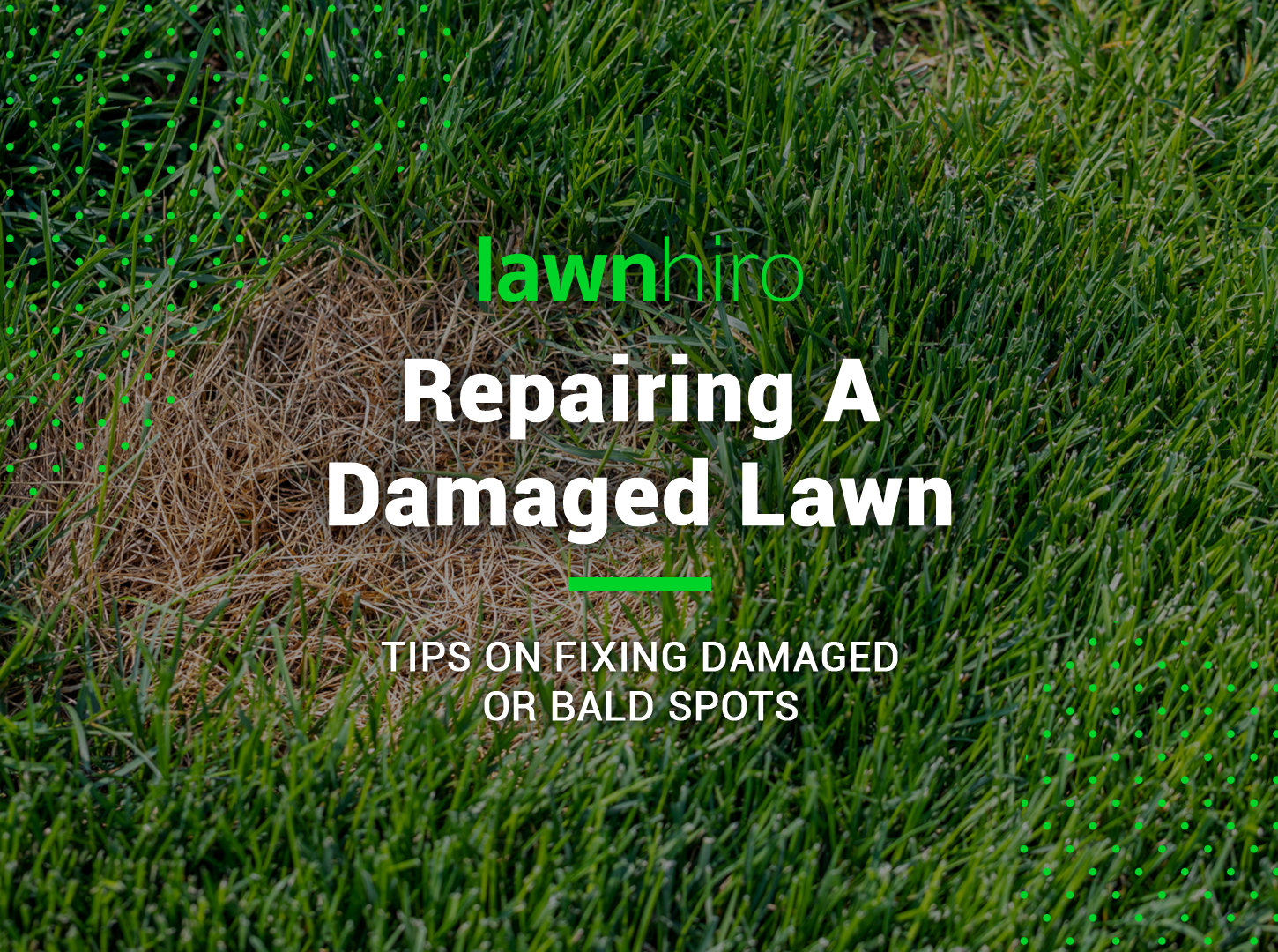 Featured image for “Repairing A Damaged Lawn: Tips on Fixing Damaged or Bald Spots”