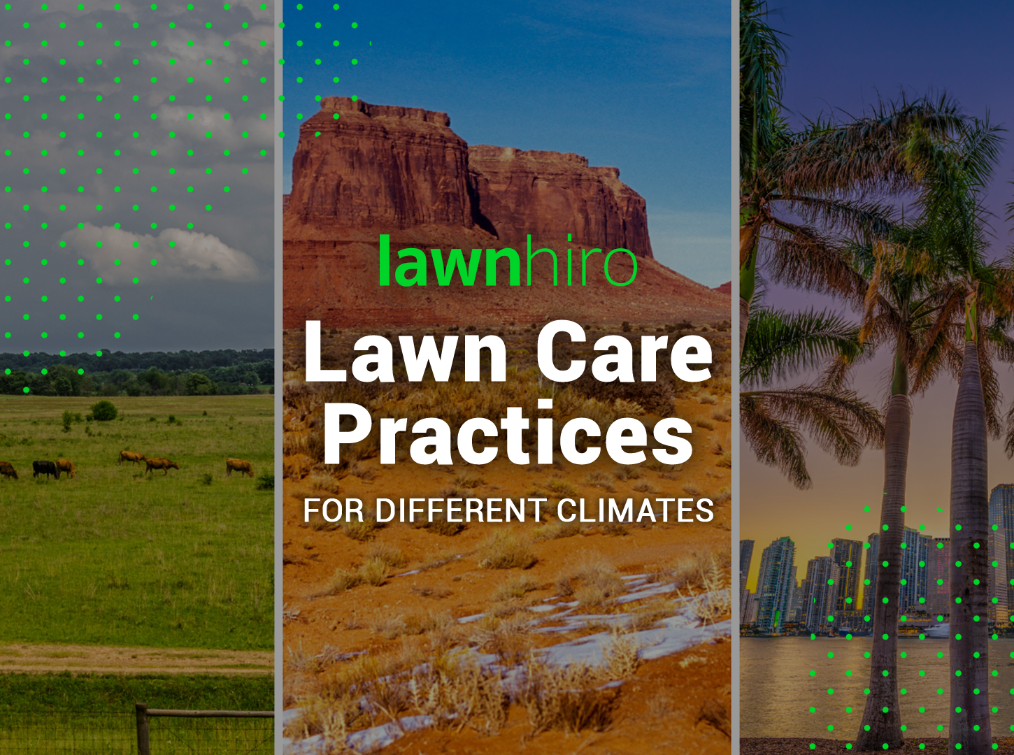 Featured image for “Adjusting Your Lawn Care Practices for Different Climates in the United States”