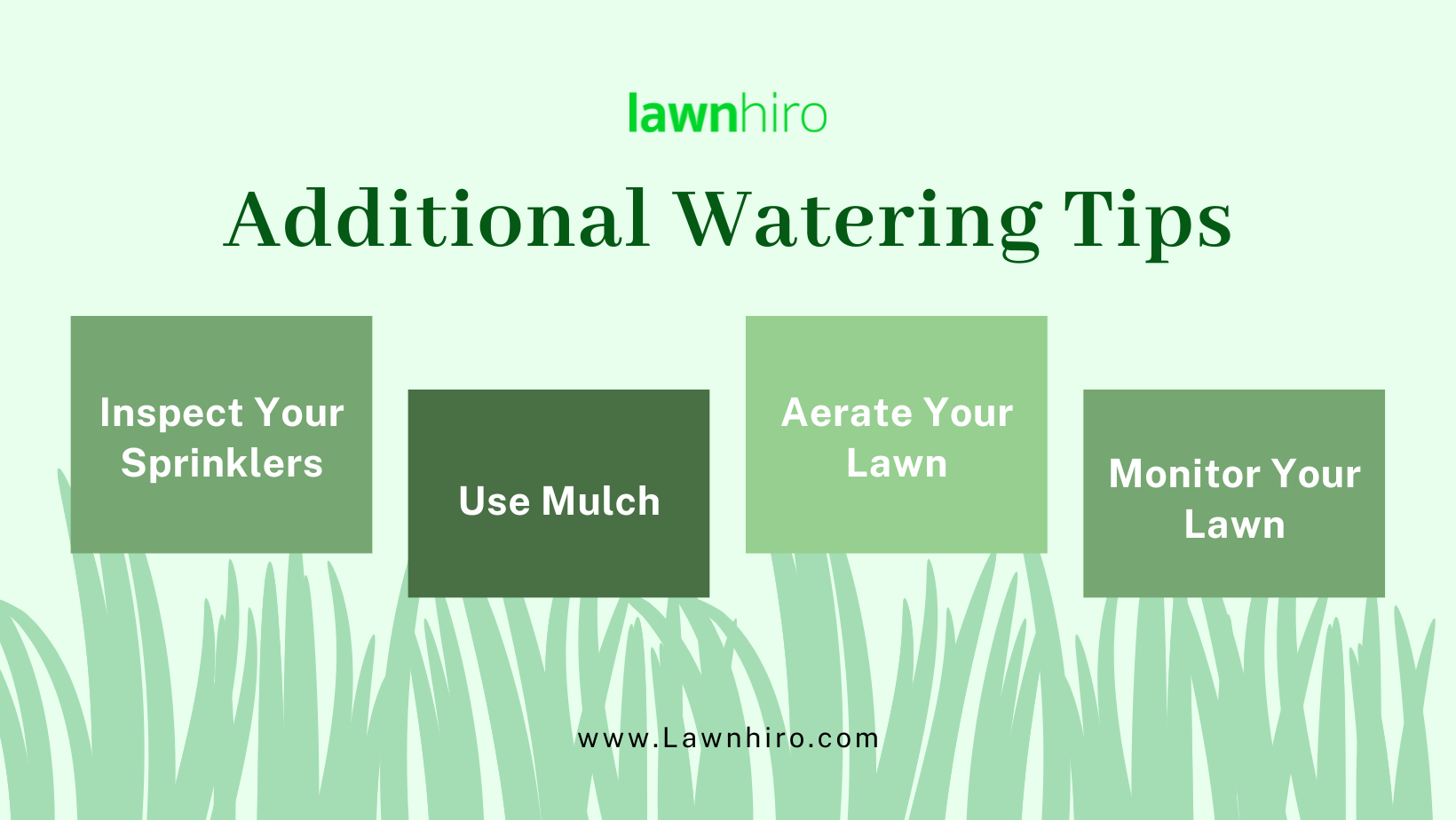 Additional Watering Tips - Lawnhiro