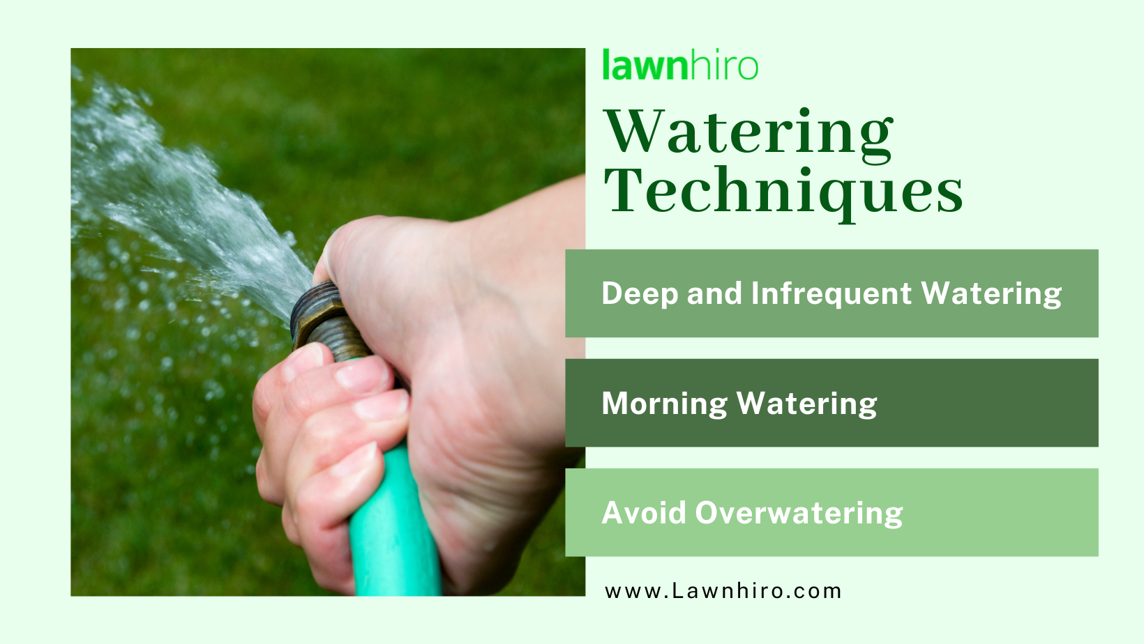 Watering Techniques - Lawnhiro