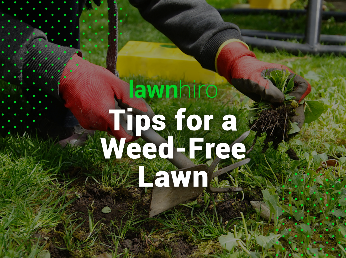 Featured image for “Mastering Weed Control: Tips for a Lush and Weed-Free Lawn!”