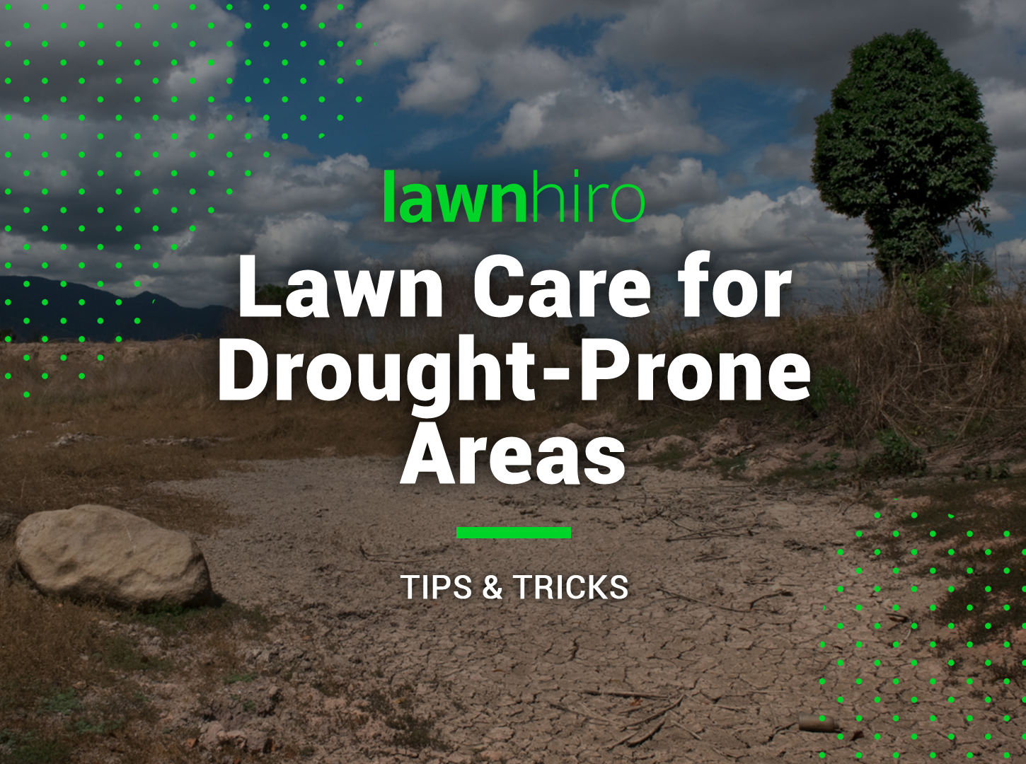 Tips for lawn care in drought-prone areas - Lawnhiro