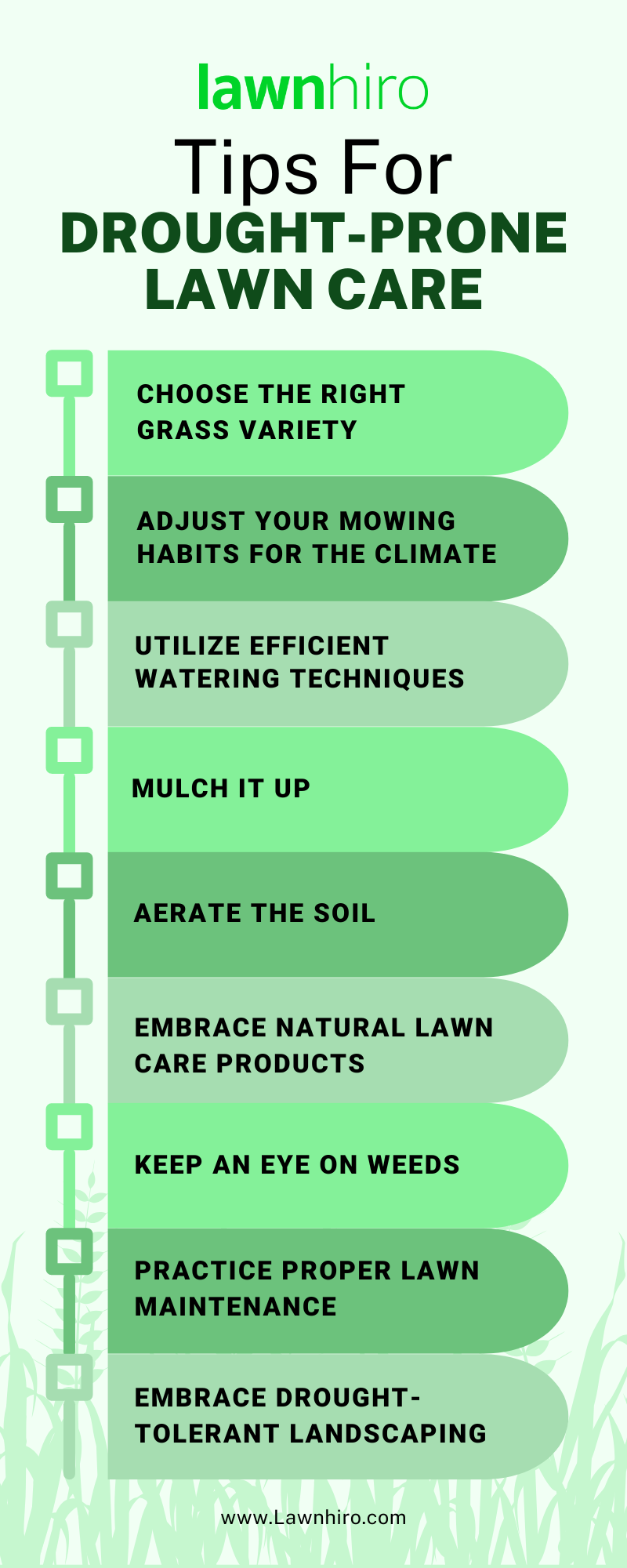 Lawn Care Tips for Drought-Prone Areas