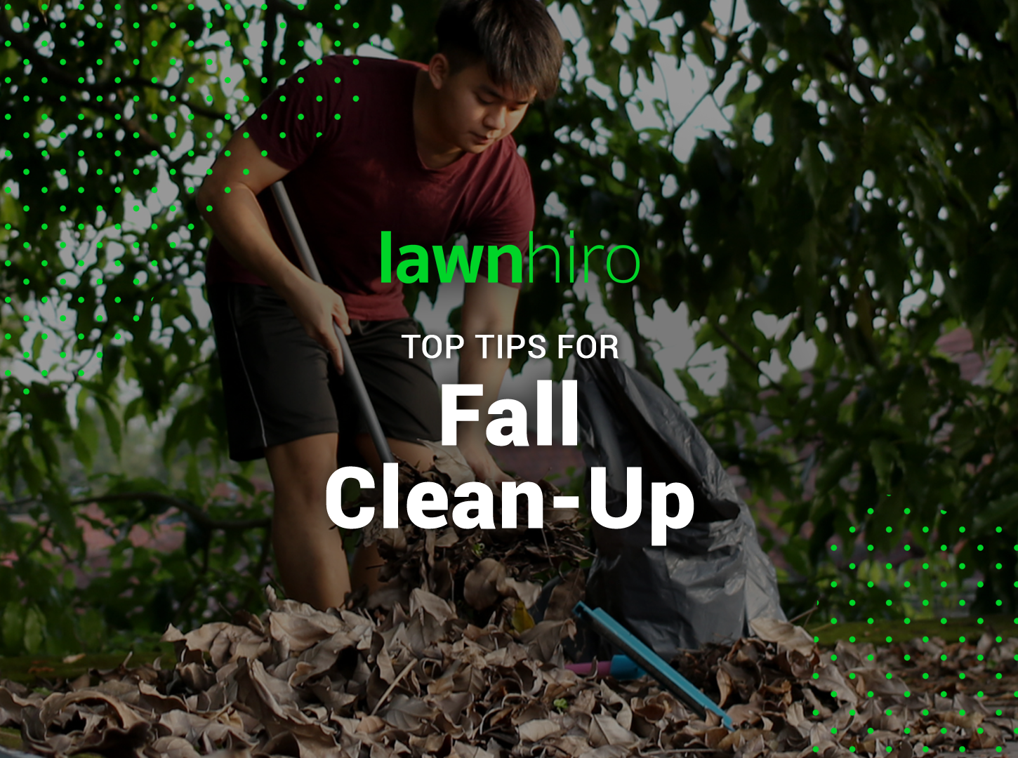 Featured image for “Top Tips for Fall Clean-Up: Get Your Yard Ready for the Season”