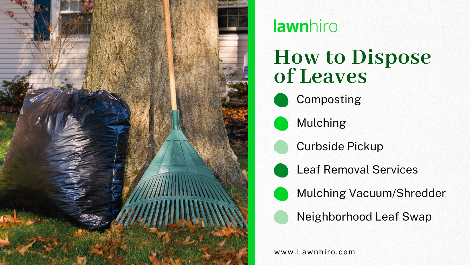 You have multiple ways to dispose of leaves