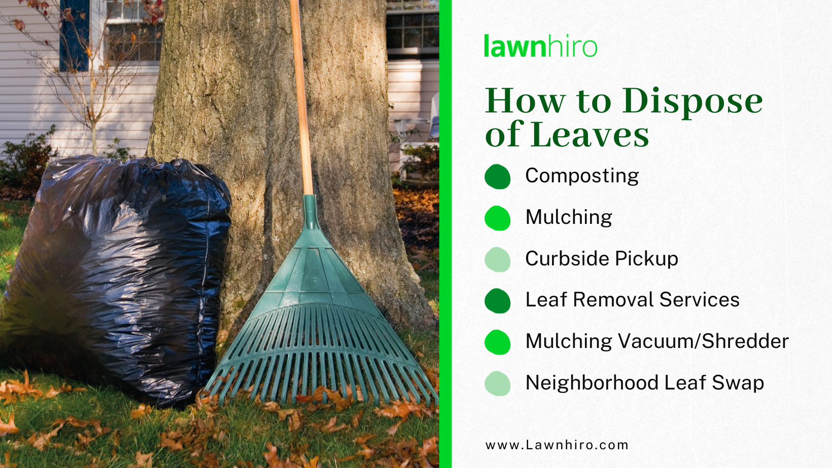 Optional Methods for Leaf Disposal