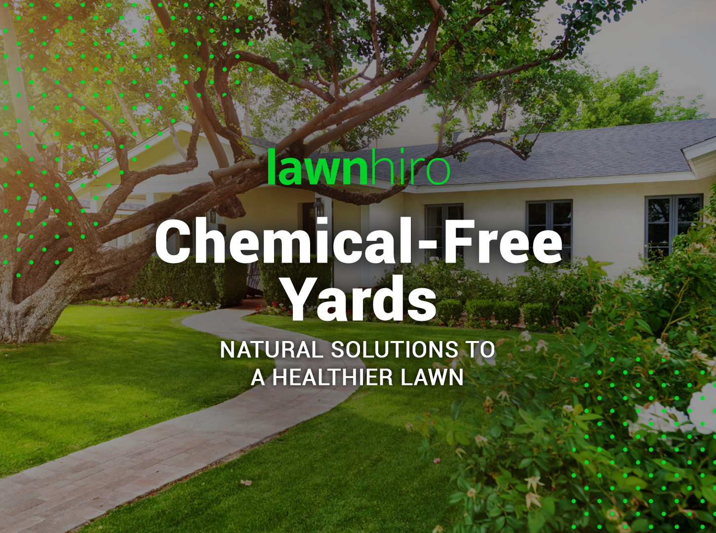 Featured image for “Your Path to a Chemical-Free Yard”