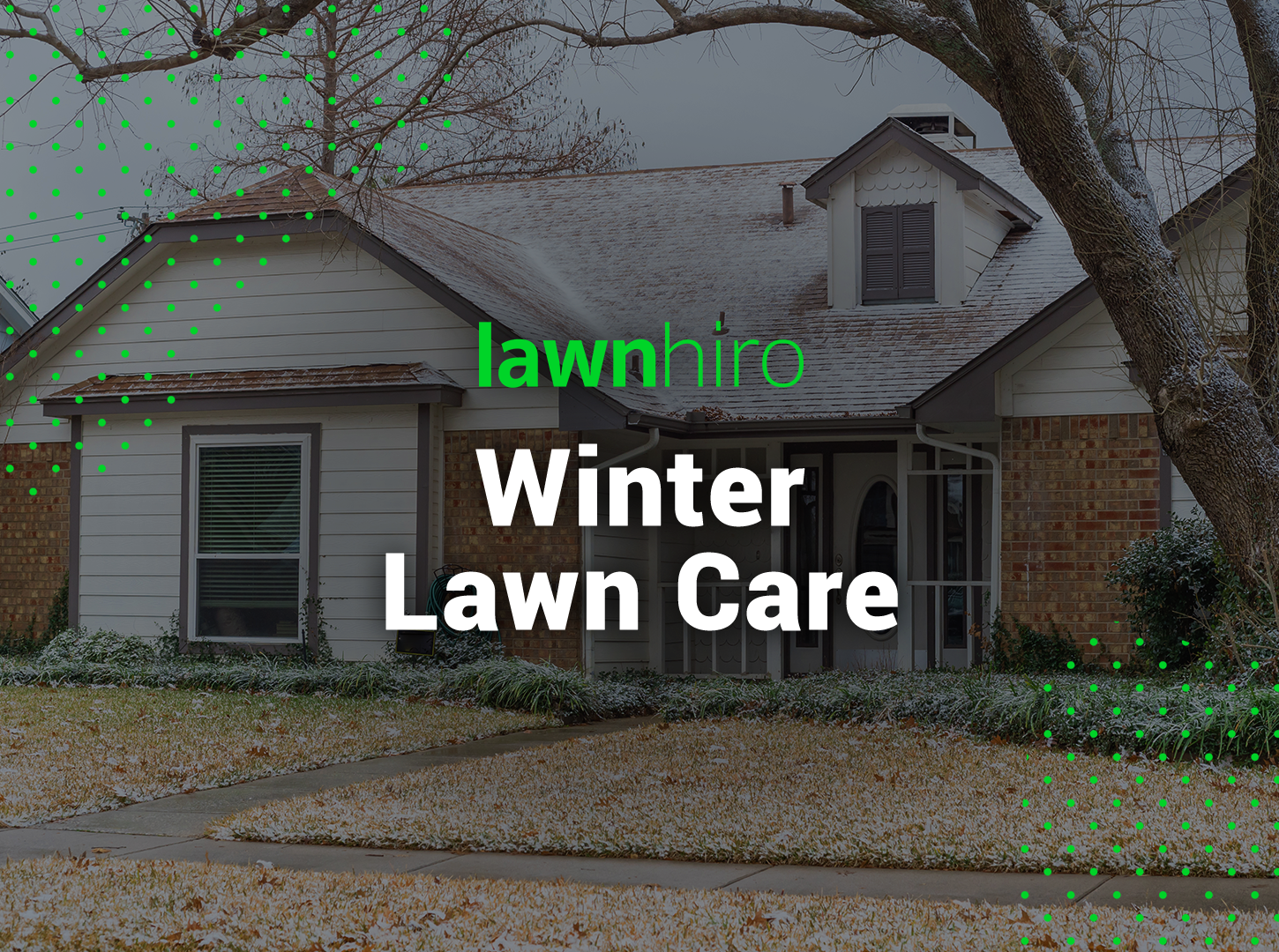 Winter Lawn Care - Lawnhiro