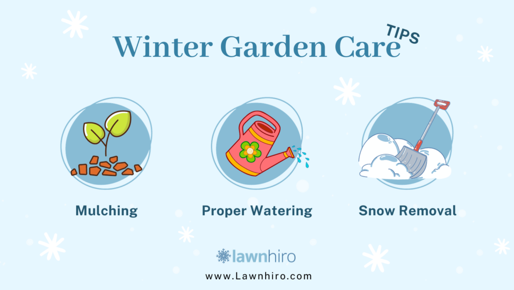 Garden Care Tips - Lawnhiro