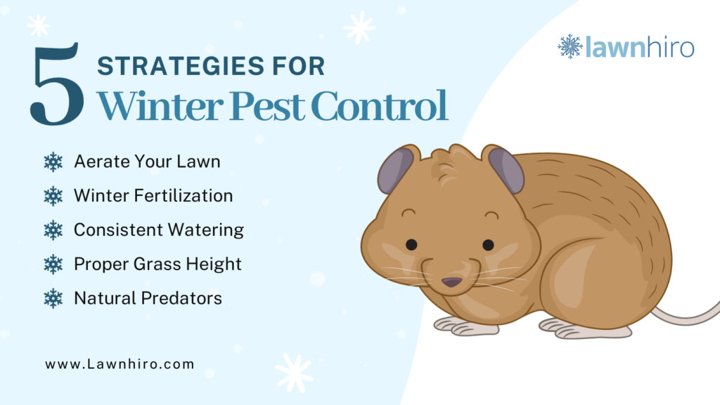 Winter Pest Control - Lawnhiro