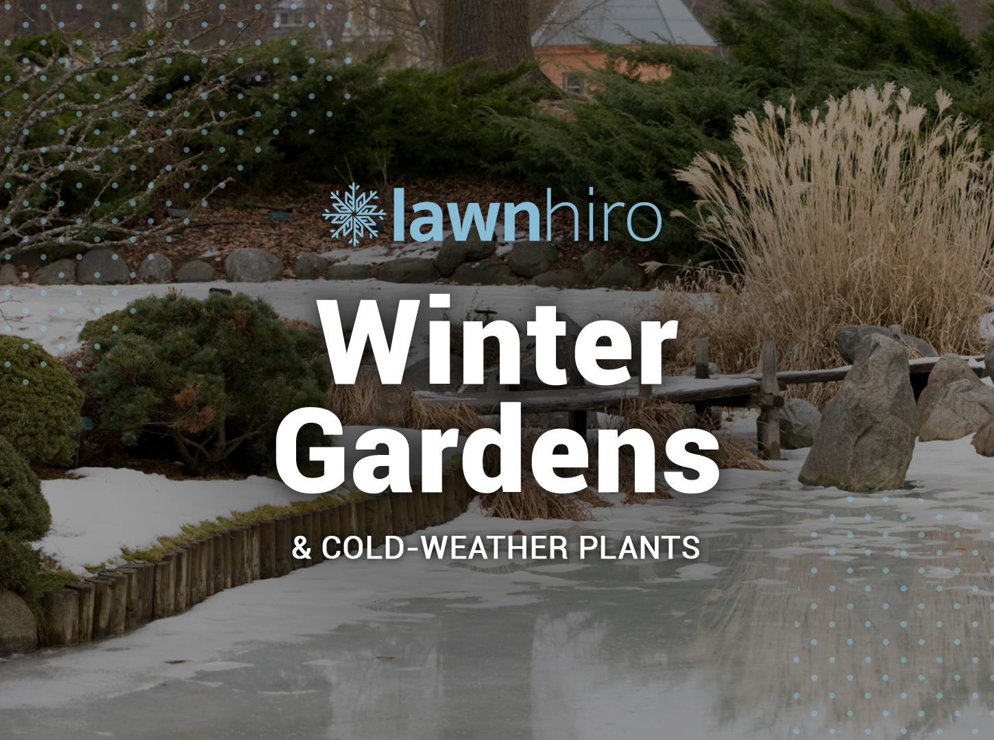 Featured image for “Low-Maintenance Winter Garden and Cold-Weather Plants”