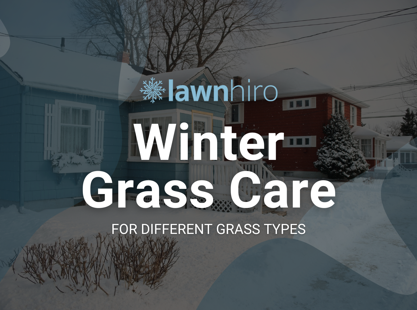 Winter Grass Care - Lawnhiro