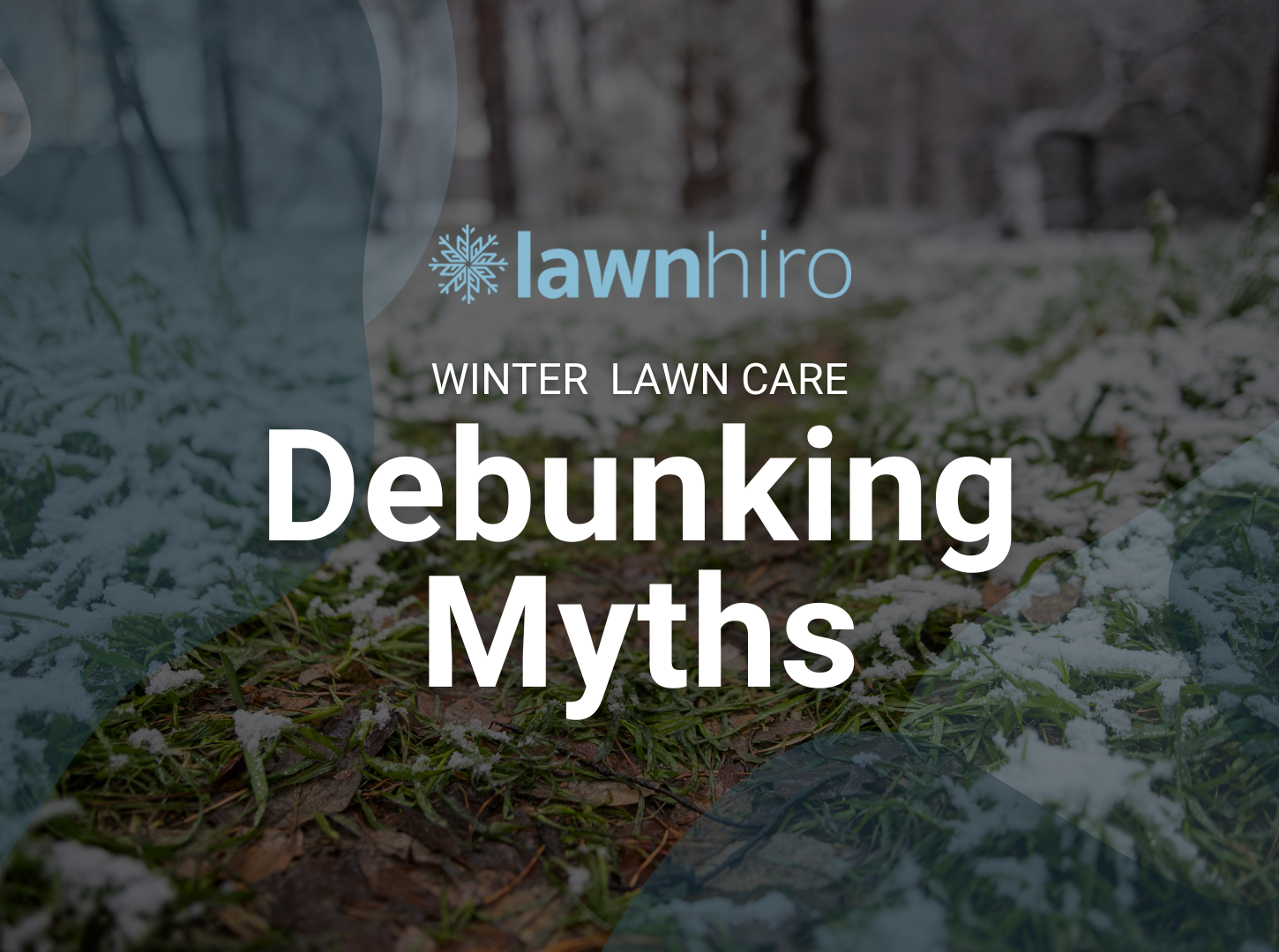 Debunking Winter Lawn Care Myths - Lawnhiro