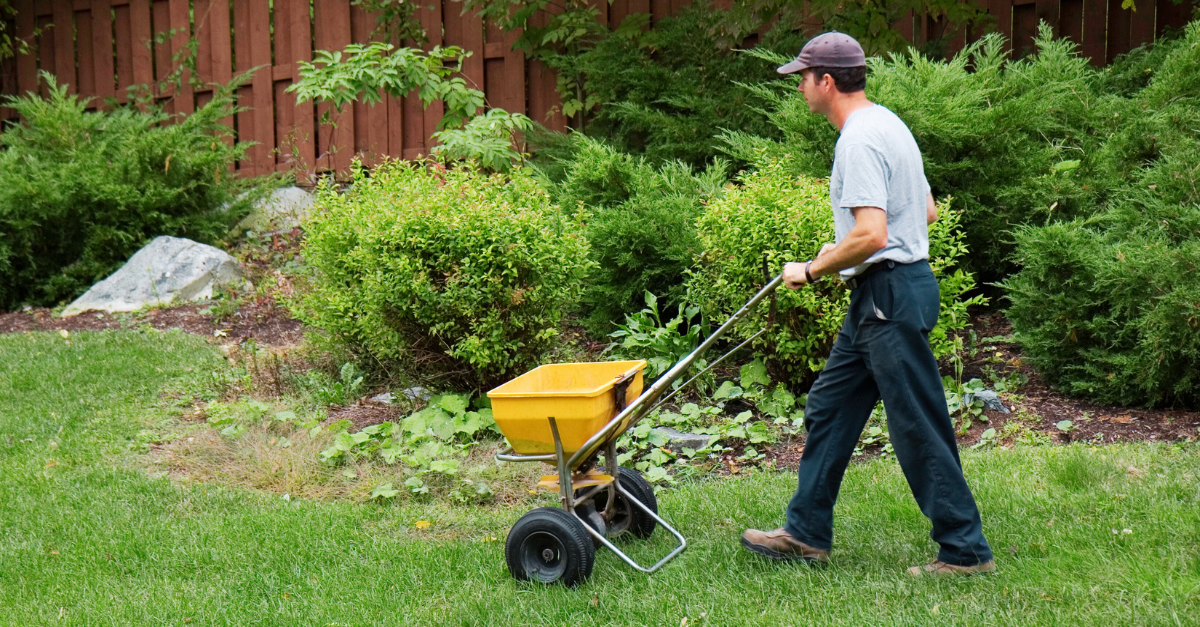 The role of fertilizers in lawn care - Lawnhiro