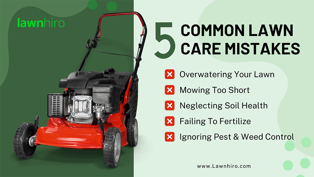5 Common Lawn Care Mistakes - Lawnhiro