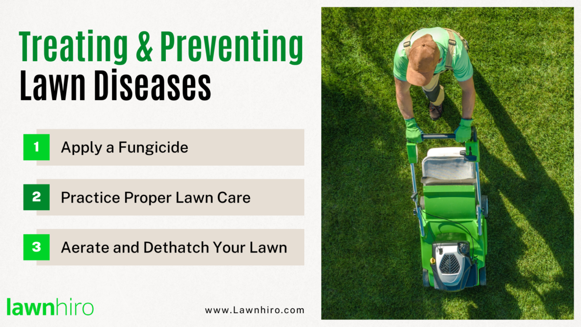 Identifying and Treating Common Lawn Diseases - Lawnhiro Blog