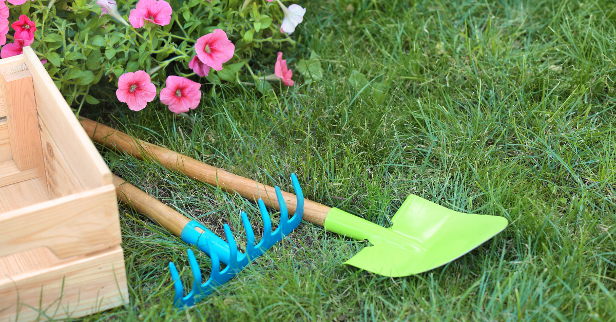 Featured image for “Spring Lawn Care for Beginners: Where to Start and What to Do”