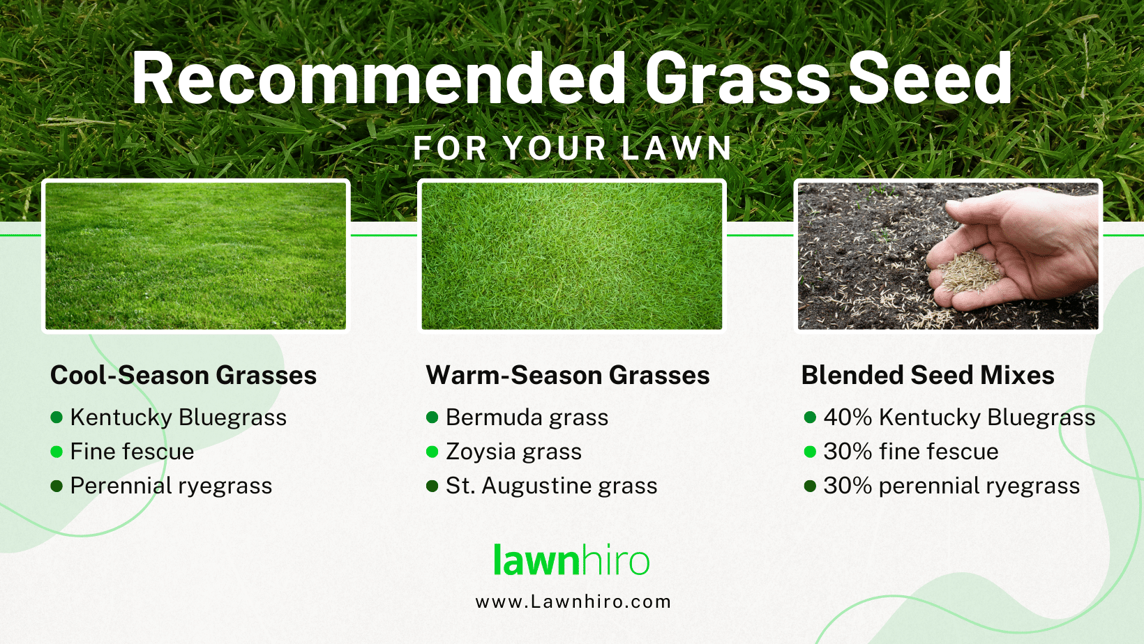 Overseeding: Choosing the Right Grass Seed - Lawnhiro Blog