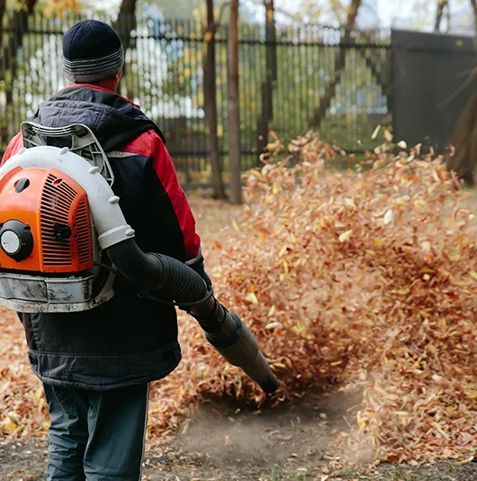Leaf Removal - One-Time Lawn Service