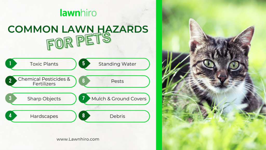 Common lawn hazards for pets - Lawnhiro