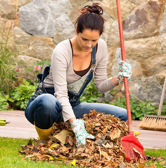 Lawnhiro Lawn Care Services